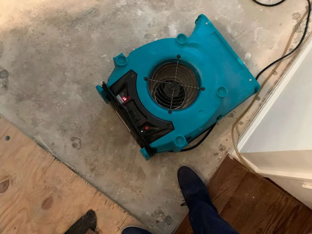 Air mover drying subfloor during Leak Detection & Repair in Brookfield